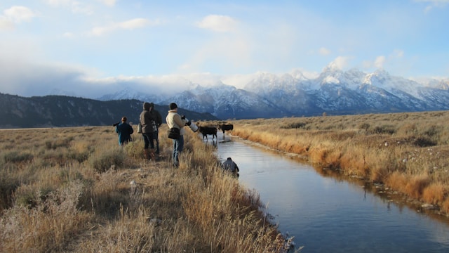 parcs de Patagonie