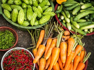 une alimentation saine et équilibrée