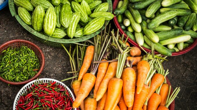 une alimentation saine et équilibrée