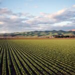 Célébrer le Secteur Agricole