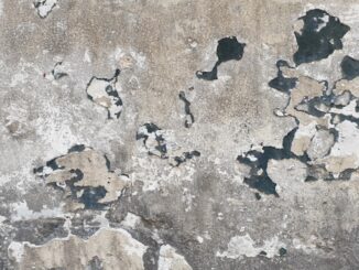 surface parcelle cadastre