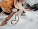 accessoires de mode