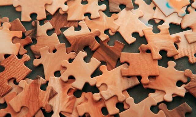 Puzzles 1000 pièces Puzzles 1000 pièces