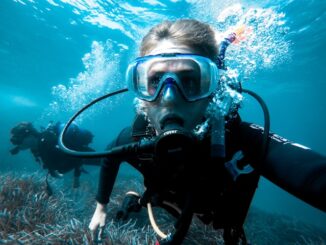 plongée sous-marine