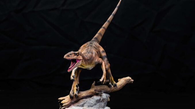 vraie-griffe-vélociraptor