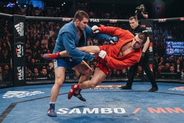 arts martiaux sambo